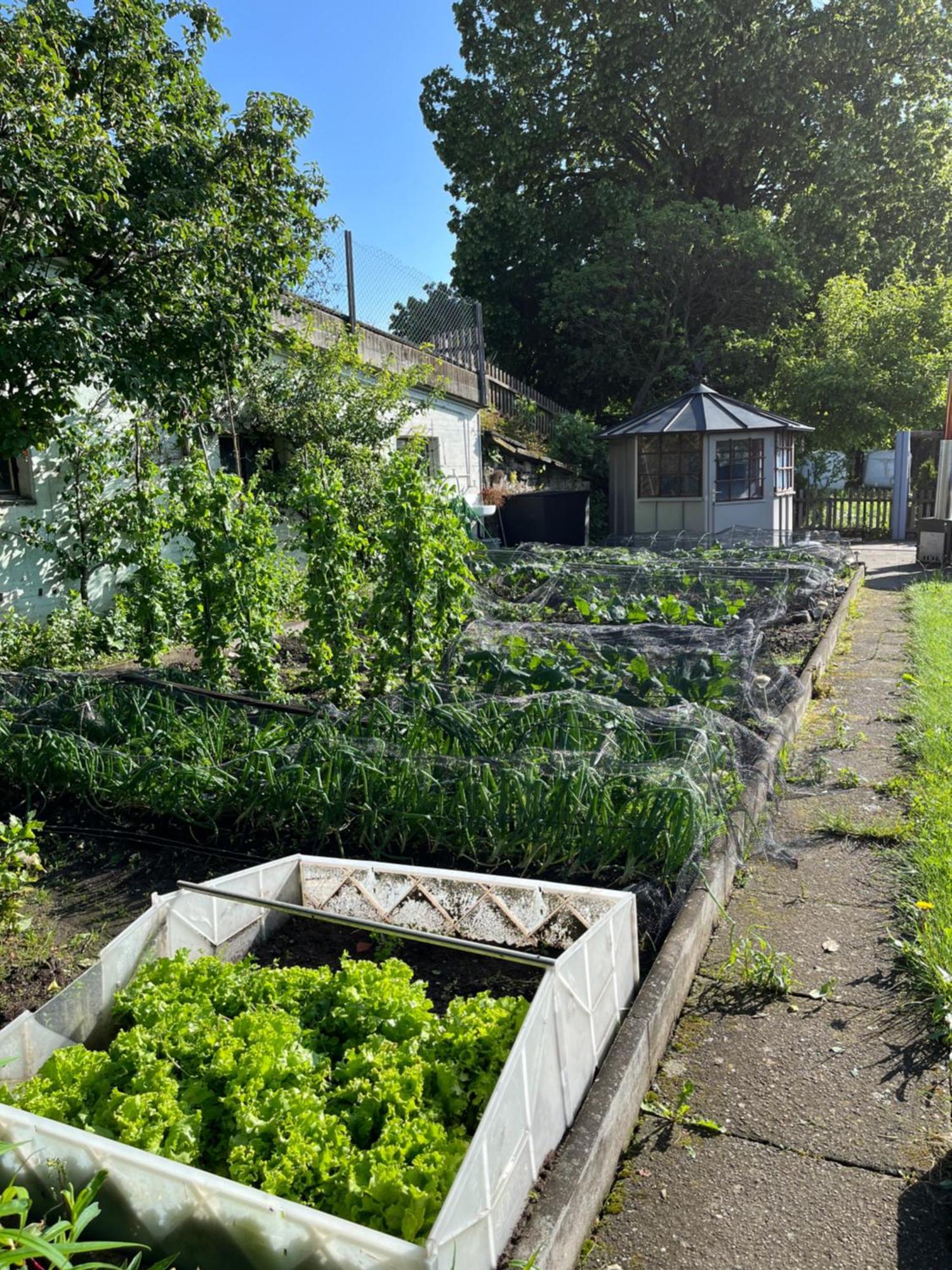 Sumiswald Ferienwohnung Auf Bauernhof Mit Hotpot Und Sauna מראה חיצוני תמונה